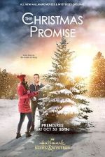 Watch The Christmas Promise Sockshare