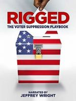 Watch Rigged: The Voter Suppression Playbook Sockshare