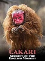 Watch Uakari: Secrets of the English Monkey Sockshare