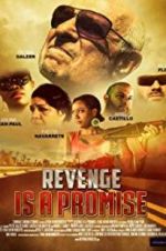 Watch Revenge Is a Promise Sockshare