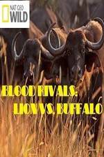 Watch National Geographic - Blood Rivals: Lion vs. Buffalo Sockshare