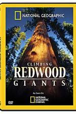 Watch National Geographic Explorer: Climbing Redwood Giants Sockshare