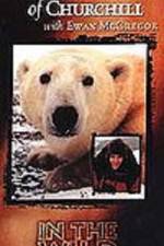 Watch The Polar Bears of Churchill with Ewan McGregor Sockshare