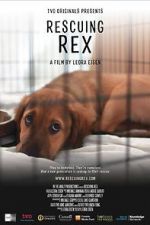 Watch Rescuing Rex Sockshare