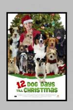 Watch 12 Dog Days of Christmas Sockshare