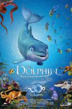 Watch The Dolphin Story of a Dreamer Sockshare