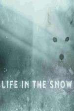 Watch Life in the Snow Sockshare