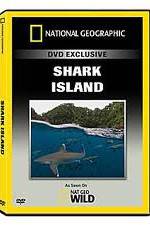 Watch National Geographic: Shark Island Sockshare