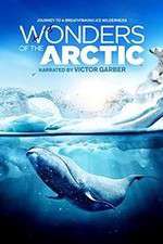 Watch Wonders of the Arctic 3D Sockshare