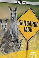 Watch Kangaroo Mob Sockshare