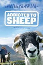 Watch Addicted to Sheep Sockshare