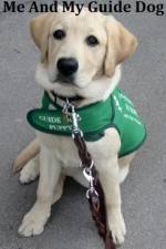 Watch Me And My Guide Dog Sockshare