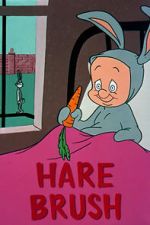 Watch Hare Brush (Short 1955) Sockshare