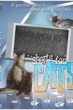 Watch Shorts for Cats Sockshare