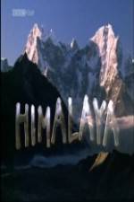 Watch Natural World - Himalaya Sockshare