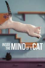 Watch Inside the Mind of a Cat Sockshare