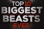 Watch Top 10 Biggest Beasts Ever Sockshare