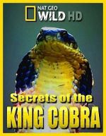 Watch Secrets of the King Cobra Sockshare