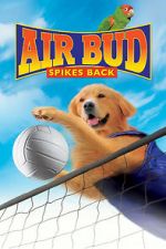 Watch Air Bud: Spikes Back Sockshare