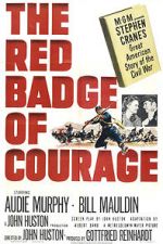 Watch The Red Badge of Courage Sockshare