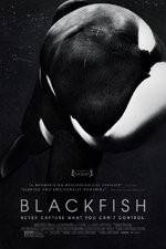 Watch Blackfish Sockshare