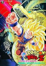 Watch Dragon Ball Z: Wrath of the Dragon Sockshare