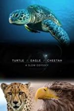 Watch Turtle, Eagle, Cheetah: A Slow Odyssey Sockshare