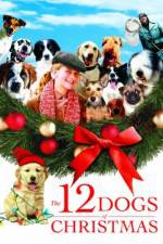 Watch The 12 Dogs of Christmas Sockshare