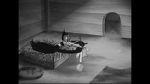 Watch Wise Quacks (Short 1939) Sockshare