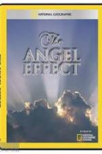 Watch National Geographic Explorer - The Angel Effect Sockshare
