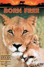 Watch Born Free Sockshare