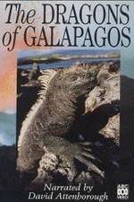 Watch The Dragons of Galapagos Sockshare