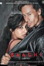 Watch Baaghi Sockshare