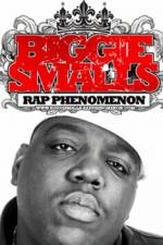 Watch Biggie Smalls Rap Phenomenon Sockshare