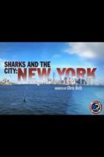 Watch Sharks and the City: New York Sockshare