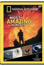 Watch National Geographic's Most Amazing Moments Sockshare