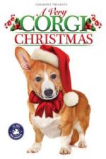 Watch A Very Corgi Christmas Sockshare