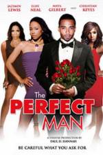 Watch The Perfect Man Sockshare