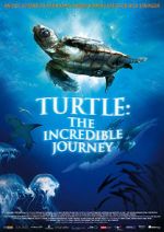 Watch Turtle: The Incredible Journey Sockshare