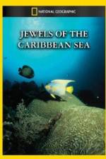 Watch National Geographic Jewels of the Caribbean Sea Sockshare