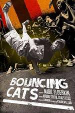 Watch Bouncing Cats Sockshare