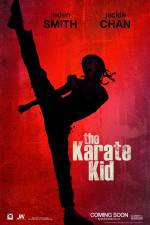 Watch The Karate Kid Sockshare