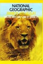 Watch National Geographic:  Walking with Lions Sockshare