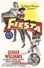 Watch Fiesta Sockshare