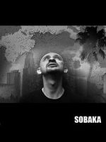 Watch Sobaka Sockshare