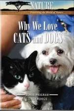 Watch Why We Love Cats And Dogs Sockshare