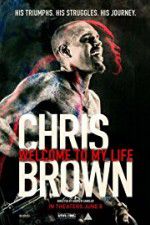 Watch Chris Brown Welcome to My Life Sockshare