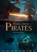 Watch The True Story of Pirates Sockshare