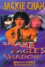 Watch Bruce Vs. Snake In Eagle's Shadow Sockshare