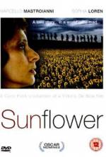 Watch Sunflower Sockshare